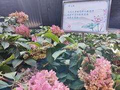 -长安寺