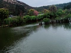 -黑龙潭公园