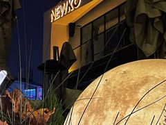 -纽扣NEWKO