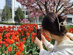 -原山国家森林公园