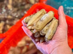 -邹开喜·炭炉鸡煲·海鲜火锅(虹口足球场店)