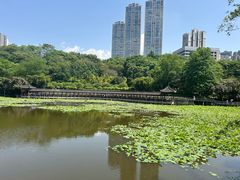 -龙头寺公园