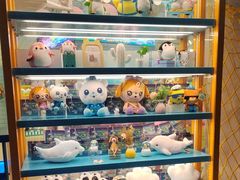 -海合安青岛极地海洋公园