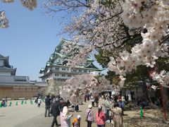 -名古屋城