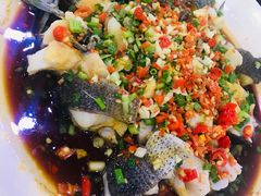 -全乐鱼馆·淳牌有机鱼直营店
