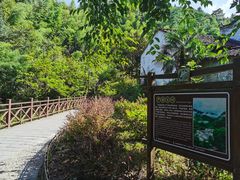 -石台牯牛降景区