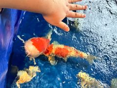 -海德温泉洗浴·生活馆(朝阳大悦城店)