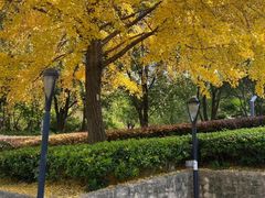 -苏州河梦清园环保主题公园