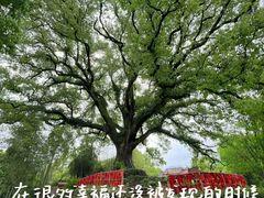 -古堰画乡景区