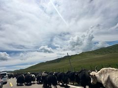-莲宝叶则景区