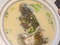 -7号院家宴.烧鸽子(门头沟店)