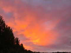 -吉林大学前卫校区南区-日新楼