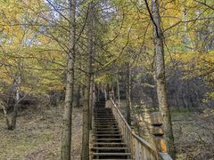 -苏木山森林公园