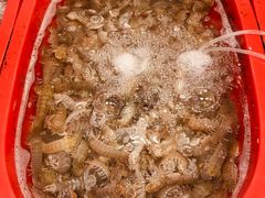 -芦潮港集贸市场