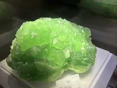 -湖南省地质博物馆