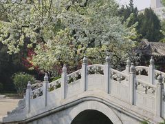 -宣武艺园
