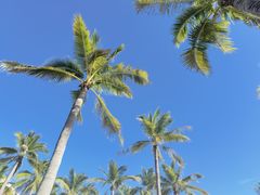 -三亚西岛海洋文化旅游区