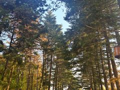 -长春市南湖公园