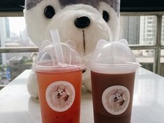 -Husky Go! 哈士奇体验馆·宠物咖啡厅狗咖