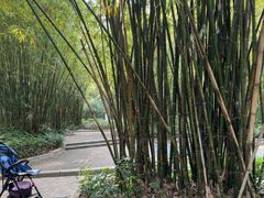 -晓港公园