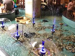 -水晶之星洗浴温泉汗蒸