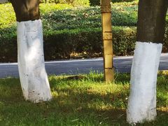 -西昌邛海宾馆