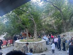 -沂蒙山旅游区云蒙景区(蒙山国家森林公园)