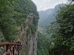 -鹿院坪生态旅游景区