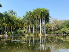 -中国科学院西双版纳热带植物园