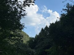 -东天目山风景区