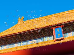 -故宫博物院(故宫)