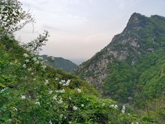 -沣峪森林公园龙潭戏水景区