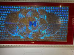 -上海昆虫博物馆