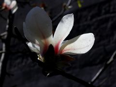 -东华门大街小区