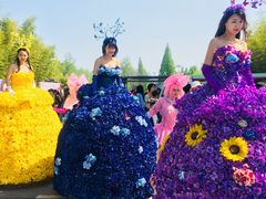 -黄海国家森林公园