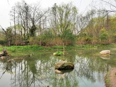 -新江湾城公园
