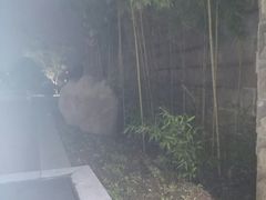 -咸阳湖景区-古渡公园