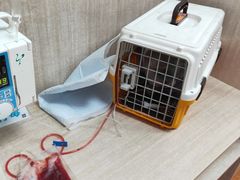 -北京观赏动物医院·24小时大型综合·猫专科·异宠专科