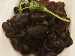 黑木耳-浒顺大酒店(相城店)