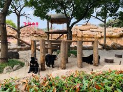 -上海野生动物园