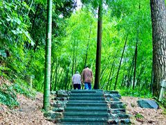 -东天目山风景区