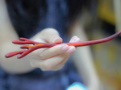 -五月木作·DIY木作文创体验店(北京路店)