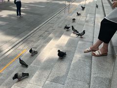 -詹爷爷乌节路街头冰淇淋