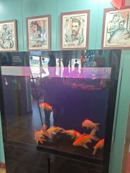 -尚逸男士理发馆·专注男发