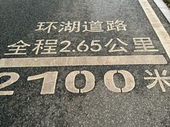 -海珠湖公园