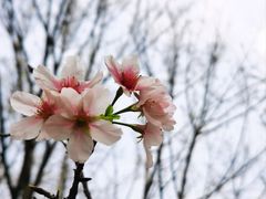 -文华公园(禅城区)