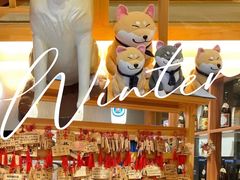-大江户·温泉洗浴(浑南店)