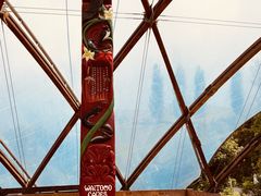 -怀托摩萤火虫洞