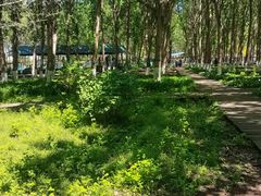 -长白岛森林公园