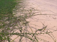 -三亚南山文化旅游区